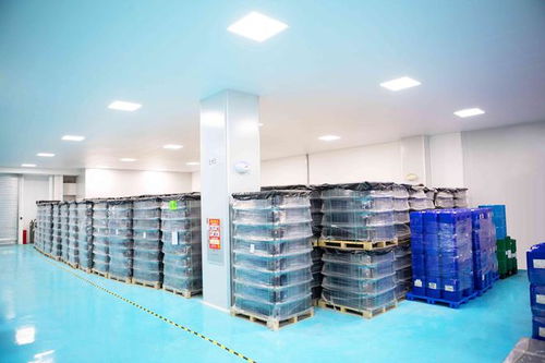 甘油二酯原料工廠及其信息服務(wù)深度解析